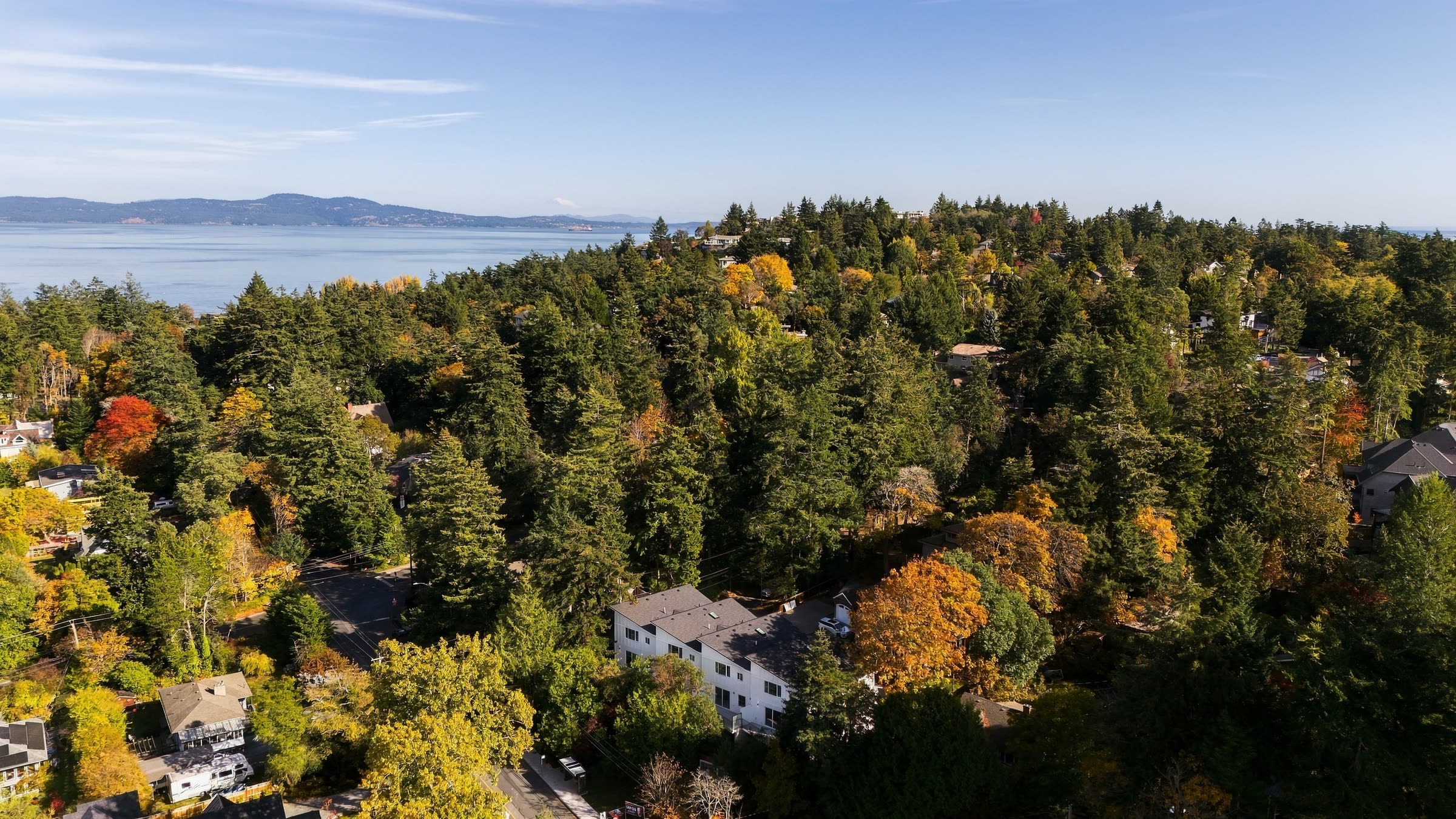 Greenvale from the air: the four homes in the forest, with the sea beyond