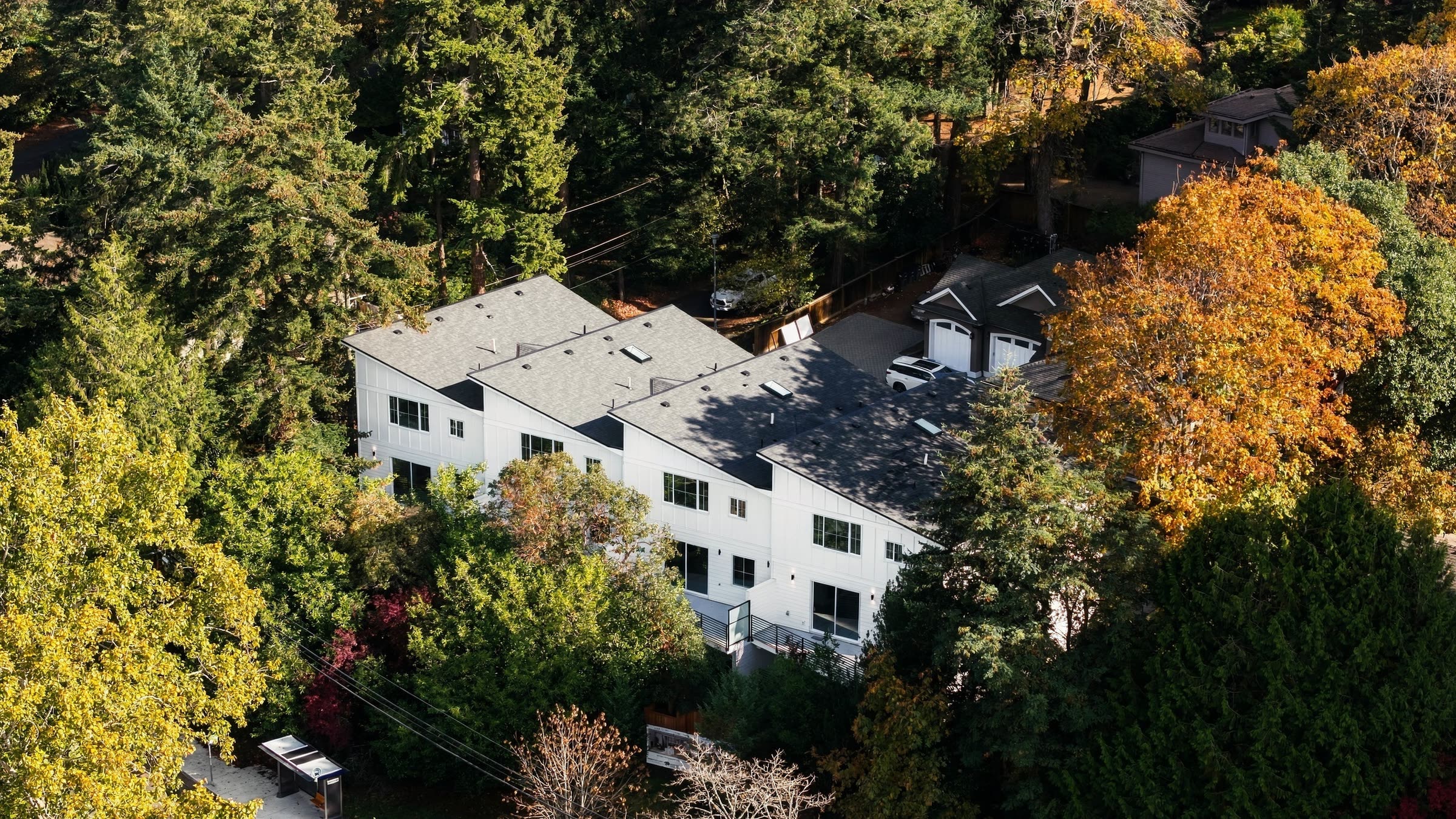 The four homes from above, among autumn maples and tall firs