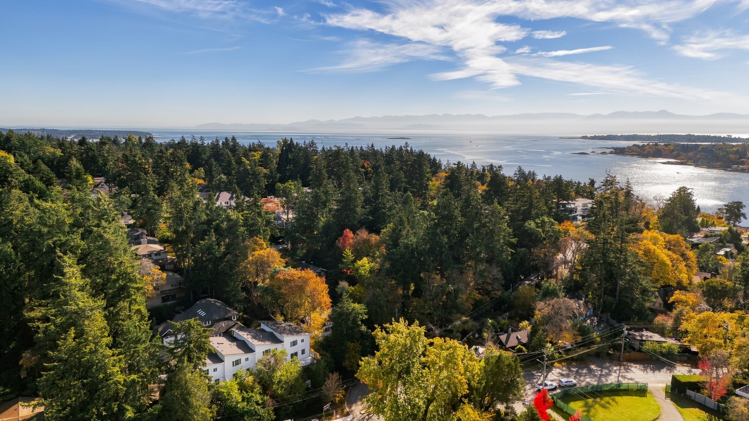 Greenvale's four homes in the forest, with the sea and the coastline beyond