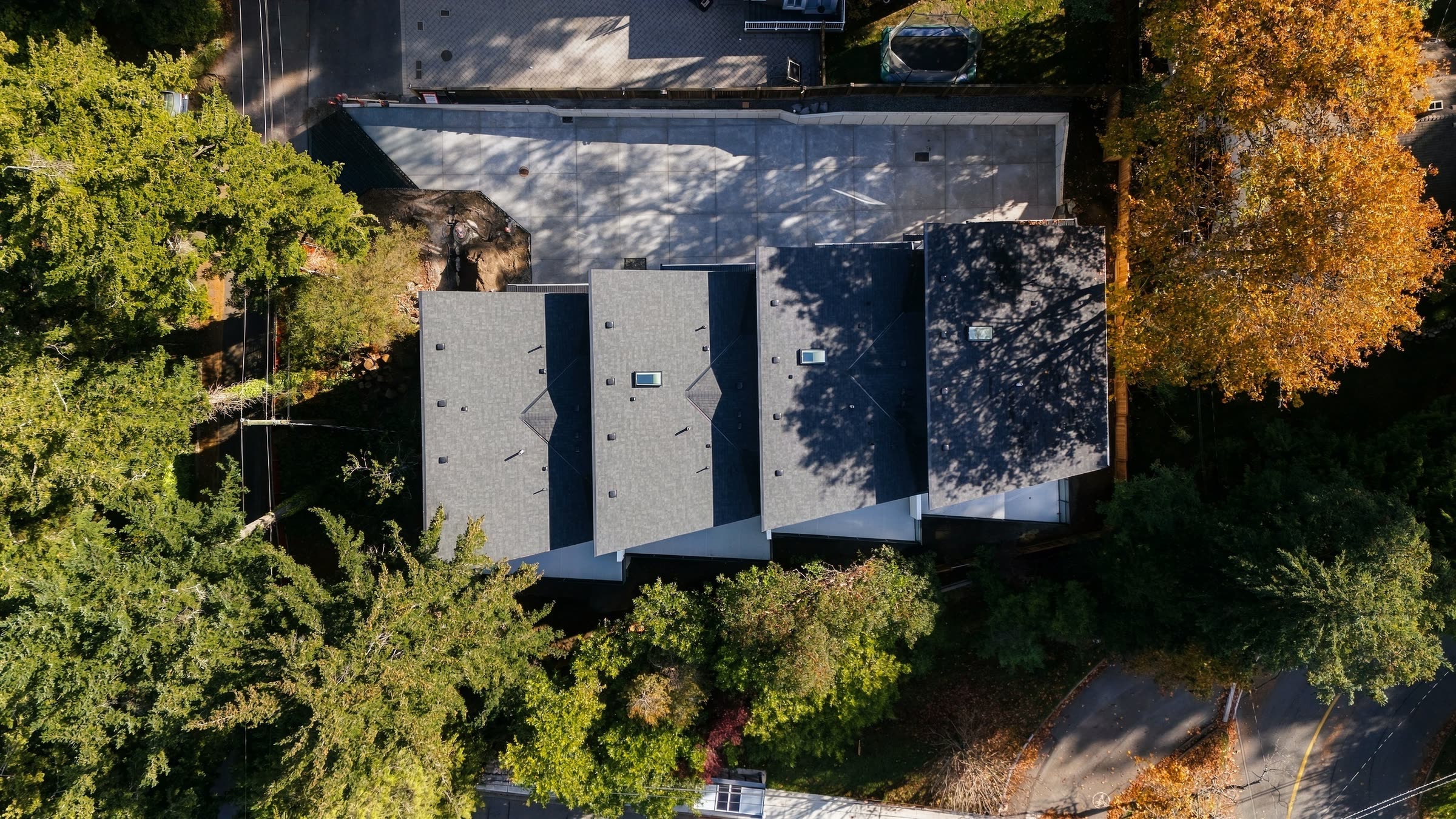 Looking straight down on the four roofs and the trees around them