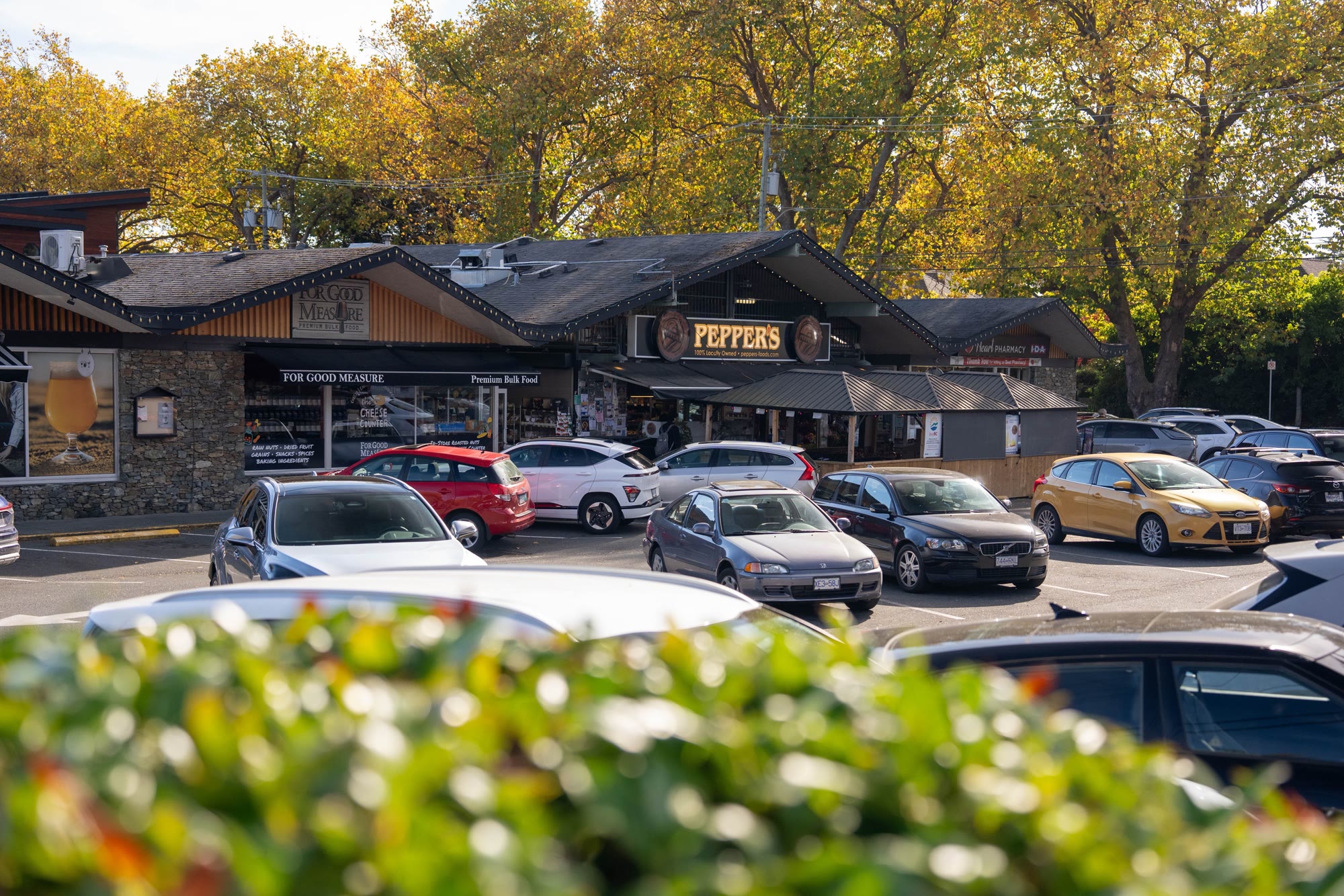 Peppers Foods and the shops of Cadboro Bay Village under autumn trees